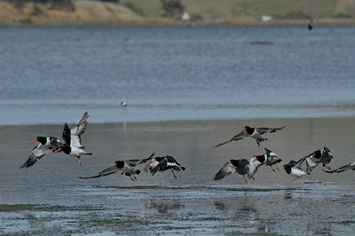 BUITEN BEELD Foto: 28437
