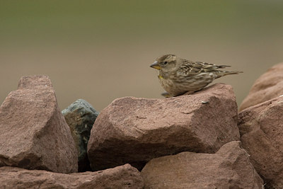 BUITEN BEELD Foto: 28493