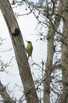 BUITEN BEELD Foto: 28519