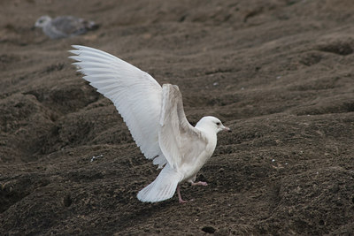 BUITEN BEELD Foto: 28544