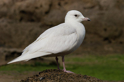 BUITEN BEELD Foto: 28547