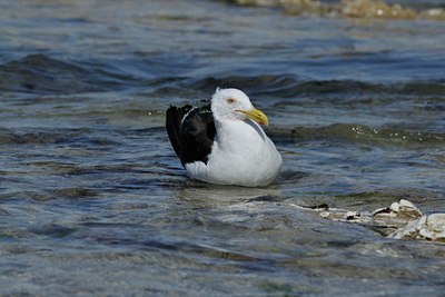 BUITEN BEELD Foto: 28637