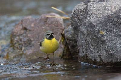 BUITEN BEELD Foto: 28645