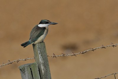 BUITEN BEELD Foto: 28647
