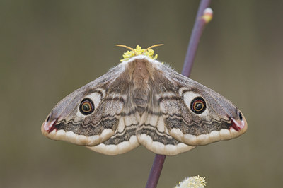 BUITEN BEELD Foto: 28658