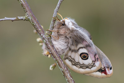 BUITEN BEELD Foto: 28661