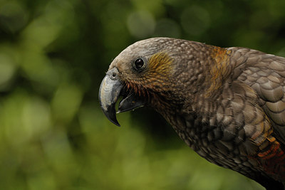 BUITEN BEELD Foto: 28741