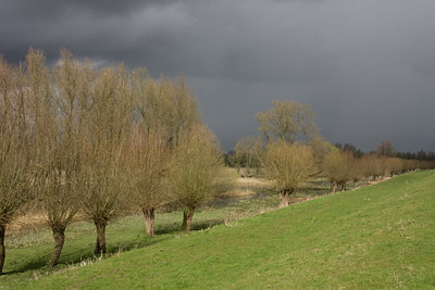 BUITEN BEELD Foto: 28758