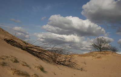 BUITEN BEELD Foto: 28787