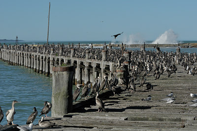 BUITEN BEELD Foto: 28870