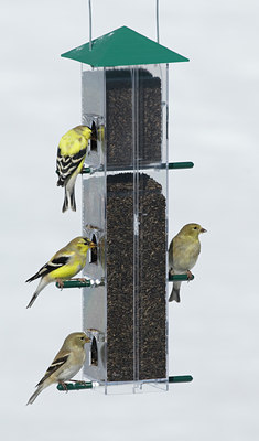 BUITEN BEELD Foto: 28882