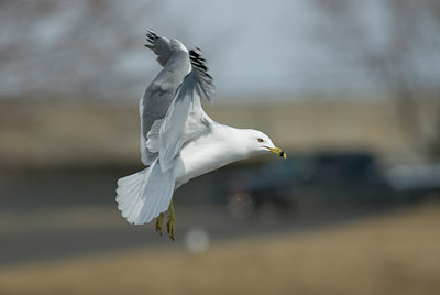 BUITEN BEELD Foto: 28883