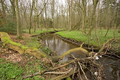 BUITEN BEELD Foto: 28975