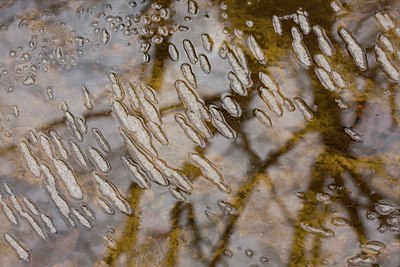 BUITEN BEELD Foto: 28976