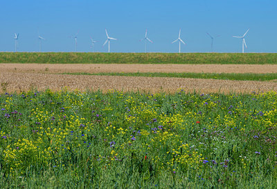 BUITEN BEELD Foto: 289014