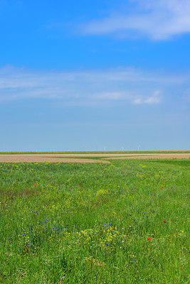 BUITEN BEELD Foto: 289029