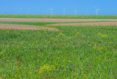 BUITEN BEELD Foto: 289035