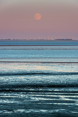 BUITEN BEELD Foto: 289045