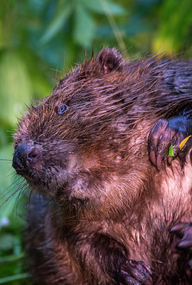 BUITEN BEELD Foto: 289051