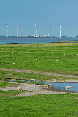 BUITEN BEELD Foto: 289129