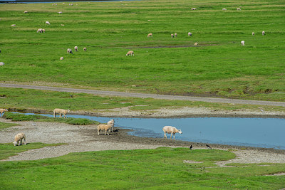 BUITEN BEELD Foto: 289134