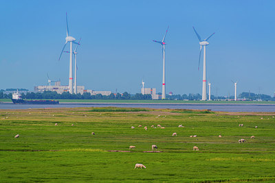 BUITEN BEELD Foto: 289139