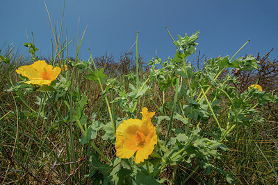BUITEN BEELD Foto: 289140