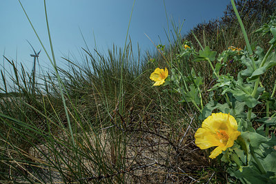 BUITEN BEELD Foto: 289145