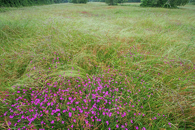 BUITEN BEELD Foto: 289165