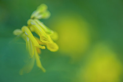 BUITEN BEELD Foto: 289254