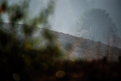 BUITEN BEELD Foto: 289306