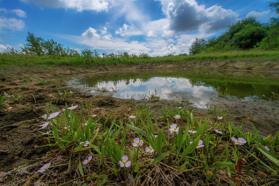 BUITEN BEELD Foto: 289316