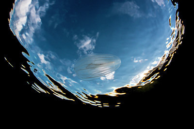 BUITEN BEELD Foto: 289439