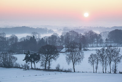 BUITEN BEELD Foto: 289518