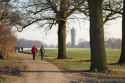 BUITEN BEELD Foto: 289524