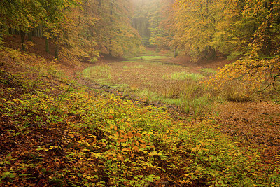 BUITEN BEELD Foto: 289546