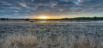 BUITEN BEELD Foto: 289552