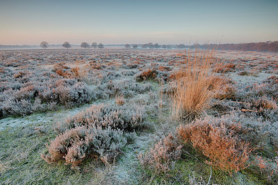 BUITEN BEELD Foto: 289553