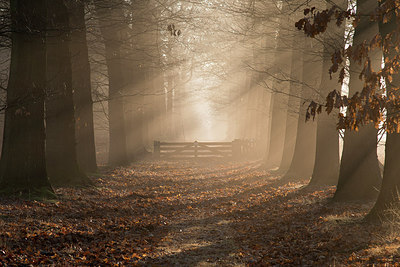 BUITEN BEELD Foto: 289556