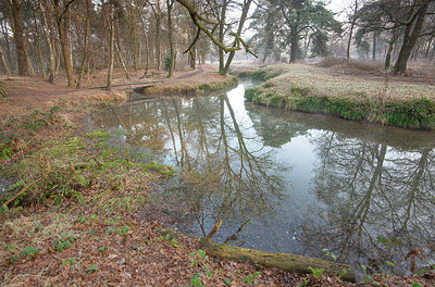 BUITEN BEELD Foto: 289557