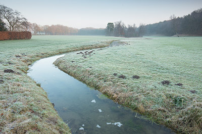 BUITEN BEELD Foto: 289558