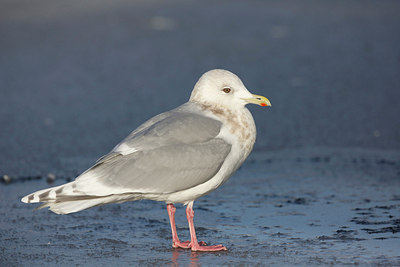 BUITEN BEELD Foto: 289574