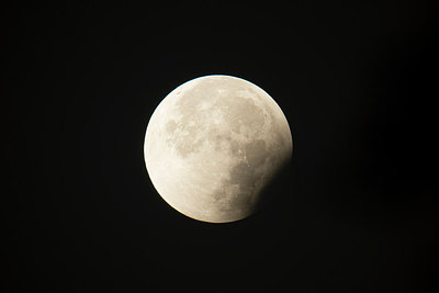 BUITEN BEELD Foto: 289607