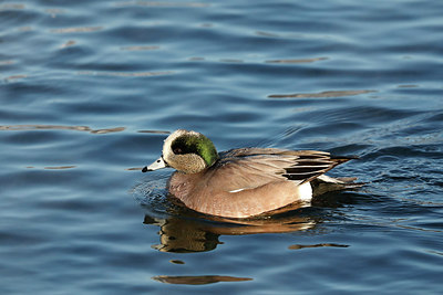 BUITEN BEELD Foto: 289627