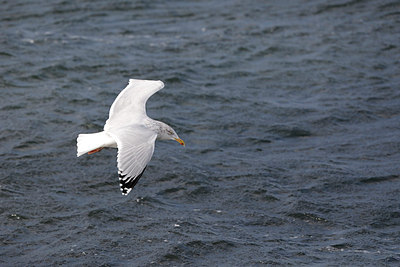 BUITEN BEELD Foto: 289630