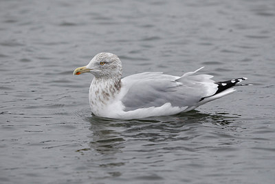 BUITEN BEELD Foto: 289632