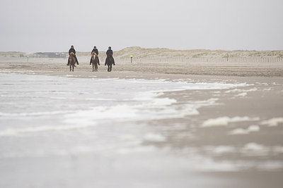 BUITEN BEELD Foto: 289673