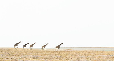 BUITEN BEELD Foto: 289751