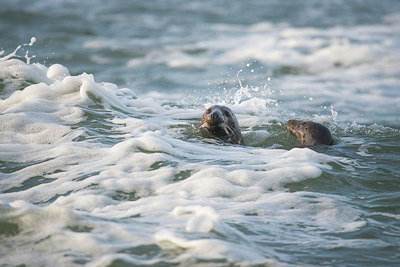 BUITEN BEELD Foto: 289757
