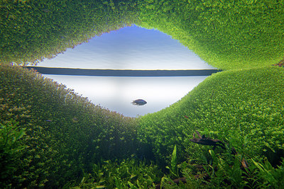 BUITEN BEELD Foto: 289934